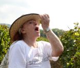 Régine lors des Vendanges du Désert, au domaine Bertaud-Belieu à Gassin, le 26 août 2011