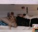 Sabrina fait une sieste avec Juliette dans Secret Story 5