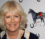 Le 19 octobre 2011, Camilla Parker Bowles a exposé ses talents de peintre, présentant son aquarelle représentant le héros Sefton dans le cadre de l'exposition Cheval de guerre : réalité et fiction à Londres. 