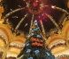 Charlie Winston lors de l'inauguration des illuminations de Noël aux Galeries Lafayette à Paris le 8 novembre