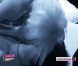 Kris et Candy dans L'amour est aveugle 2 sur TF1 le vendredi 25 novembre 2011