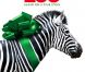 La bande-annonce du film We Bought a Zoo