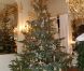 Au lendemain de la tuerie de Liège, le roi Albert II et la reine Paola de Belgique donnaient mercredi 14 décembre 2011 leur traditionnel concert de Noël, au Palais, à Bruxelles.