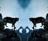  Effets de symétrie sur éléments symboliques et mythologiques, pour une scénographie hallucinante. 
 Jay-Z et Kanye West métamorphosent le réel avec le clip de  Niggas in Paris , extrait de leur album collaboratif  Watch The Throne . 