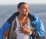 Chris Brown sur une plage de Miami le 17 février 2012.