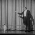 Uggie, le chien de The Artist, s'invite dans Bref et se prend pour Kyan Khojandi