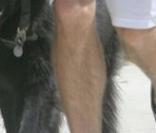 Jerry O'Connell fait son jogging topless...