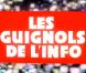  Les Guignols de l'Info , sur Canal+, le 22 mai 2012.