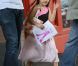 Suri Cruise dans les rues de New York, le 22 juin 2012.