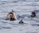 Richard Branson nage avec les requins-baleines au large des îles Mujeres  le 9 juillet 2012