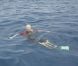 Richard Branson nage avec les requins-baleines au large des îles Mujeres  le 9 juillet 2012