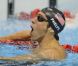 Michael Phelps est devenu l'ahtlète le plus titré des Jeux olympiques le 31 juillet 2012 à Londres avec 19 médailles dont 15 d'or après sa victoire obtenue avec le relais 4x200 m