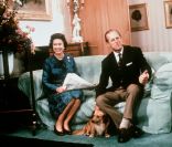  La reine Elizabeth II et le prince Philip en 1975 à Balmoral avec un de leurs corgis. 
 La princesse Beatrice d'York a eu une belle frayeur en apprenant que son Norfolk Terrier Max, âgé de 11 ans, avait été attaqué par les corgis de la reine le 12 août 2012. 