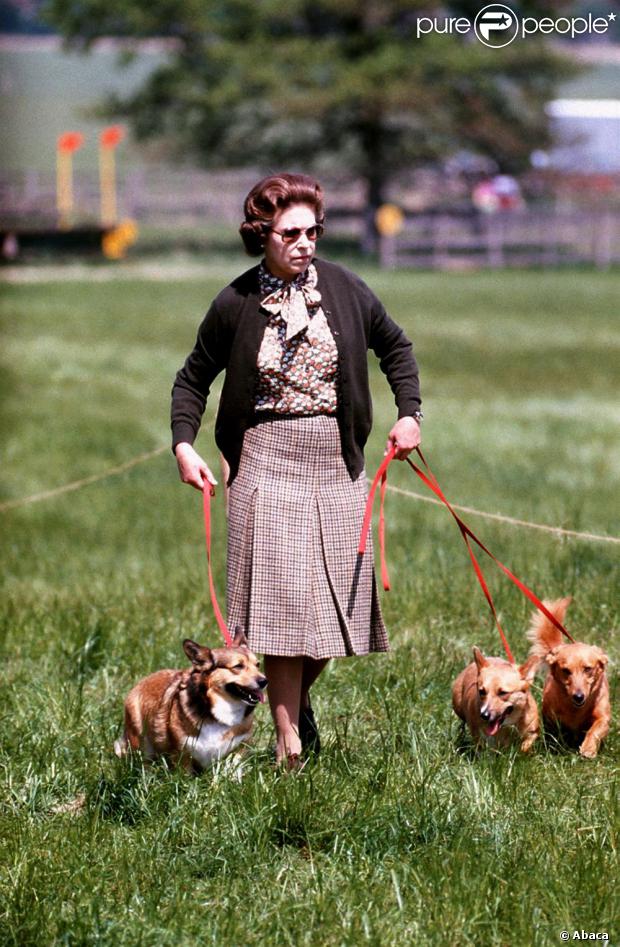  Elizabeth II promenant ses corgis à Windsor en 1980. 
 La princesse Beatrice d'York a eu une belle frayeur en apprenant que son Norfolk Terrier Max, âgé de 11 ans, avait été attaqué par les corgis de la reine le 12 août 2012. 