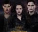 Affiche du film Twilight - chapitre 5 : Révélation (2e partie)