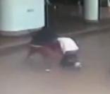 Booba et La Fouine, la bagarre a eu lieu... La vidéo est en ligne !