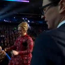 Adele aux Grammy Awards 2013 où la star a été récompensée du trophée de la meilleure performance pop solo, au Staples Center de Los Angeles, le 10 février dernier.