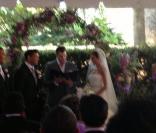 Taj Jackson : Mariage et fête avec toute la tribu Jackson... sauf Paris !