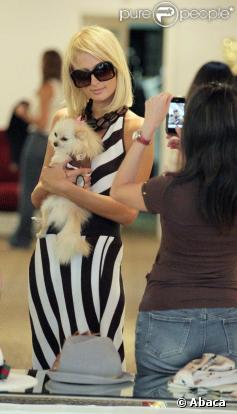 Paris Hilton, sance shopping et câlins canins !