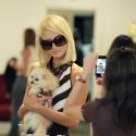 PHOTOS : Paris Hilton, entre chien et zèbre, mais tellement belle !