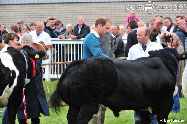 CASA REAL BRITÁNICA - Página 8 1209415-le-prince-william-d-angleterre-assiste-620x0-1