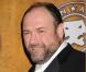 James Gandolfini des Sopranos s'est marié !