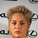 Sharon Stone n'aurait pas obtenu gain de cause pour la garde de son fils à cause du... botox  !