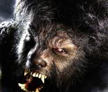 Image du film Wolfman 