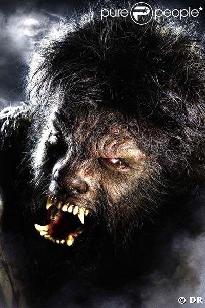 Image du film Wolfman 