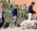 Melanie Griffith, Antonio Banderas, leur fille Stella, et leur chienne Woofa, en promenade sur une plage de Marbella, le 4 avril 2009 !