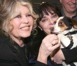 Brigitte Bardot