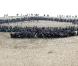 Plus de 5000 participants se sont rassemblés pour former une immense silhouette d'arbre au sommet de la dune du Pilat 