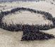 Plus de 5000 participants se sont rassemblés pour former une immense silhouette d'arbre au sommet de la dune du Pilat