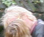 Sienna Miller et Rhys Ifans : Drôle d'endroit pour un baiser