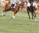 Prince Harry participe au match de polo organisé à NYC