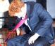 Le Prince Harry visite une école à Harlem