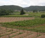 Aux alentours du domaine de Miraval...