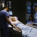 Grey's Anatomy : découvrez vite les première images de la nouvelle saison !