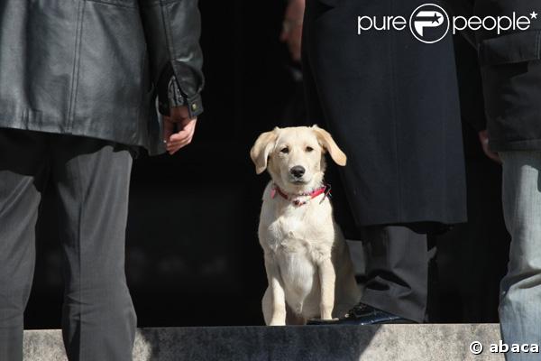 Le chien d'Henri Salvador a assisté aux obsèques de son maître, samedi 16 février 2008, en l'église de la Madeleine