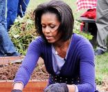 Michelle Obama dans les jardins de la maison blanche en train de s'occuper de son potager