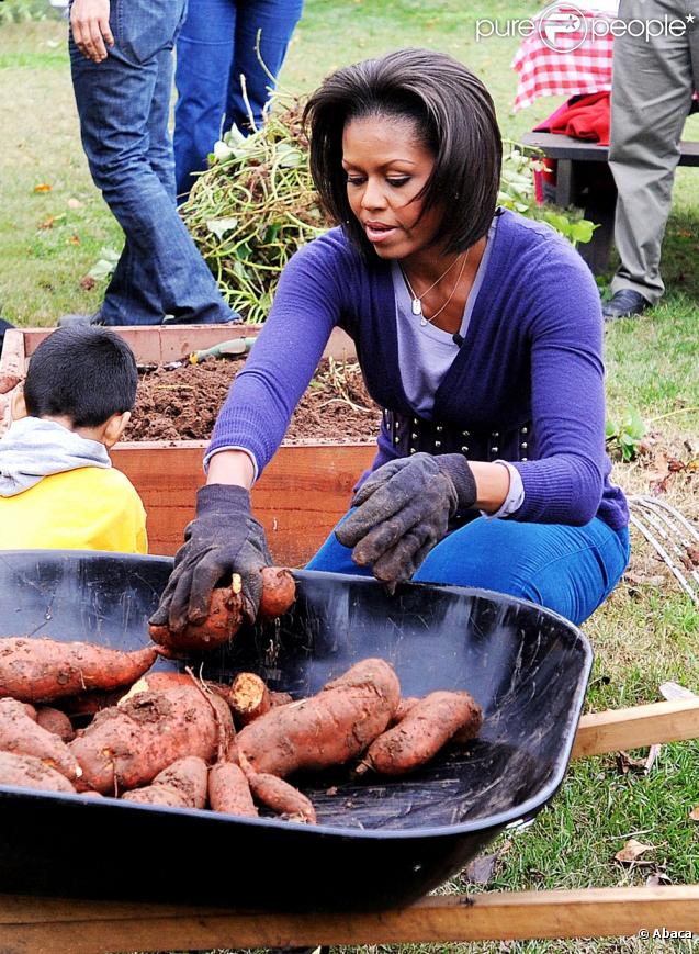 Michelle Obama dans les jardins de la maison blanche en train de s'occuper de son potager