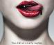 True Blood débarquera bientôt sur nos écrans pour l'année 2010 ! 