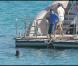 Miranda Kerr sur un superbe yacht, à Saint-Barthelemy, le 2 janvier 2010.