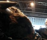 Dominique de Villepin au Salon de l\'Agriculture