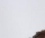 L'acteur Dennis Quaid et sa femme Kimberly Buffington