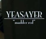 Kristen Bell dans  Madder Red , le nouveau clip de Yeasayer, août 2010