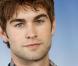Chace Crawford lord du photocall du film Twelve durant le 36e Festival du film Américain de Deauville 2010 le 5 septembre 2010
 &nbsp; 
 &nbsp; 