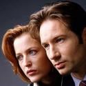 TV : David Duchovny et Gillian Anderson de nouveaux réunis... dans 'Californication' 