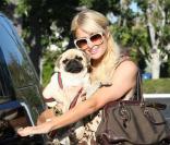 Paris Hilton à Los Angeles<br />