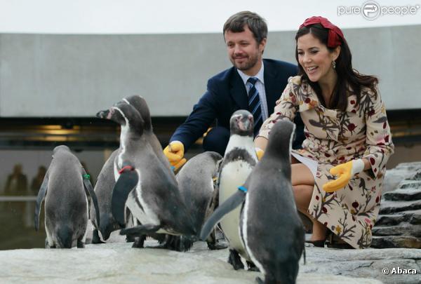 Mary et Frederik de Danemark à Stralsund en Allemagne  le 27 septembre 2010 : ils visitent un musée de l'océanographie